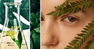 10 Natural and Organic Skin Care Products to Try in 2023